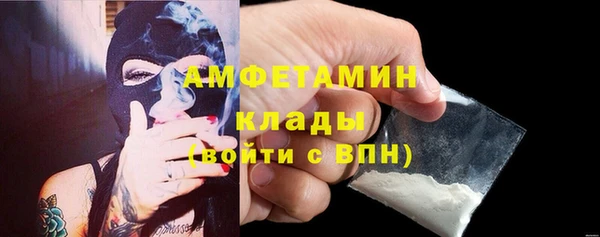 индика Зеленодольск