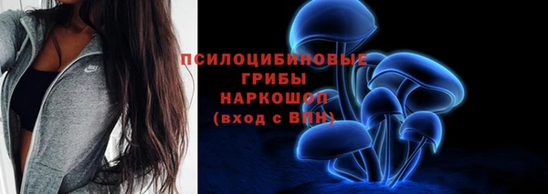 индика Зеленодольск