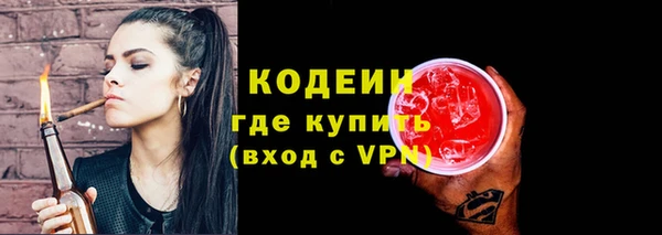 индика Зеленодольск