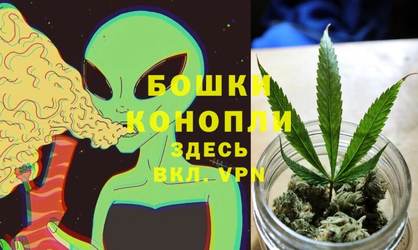 индика Зеленодольск