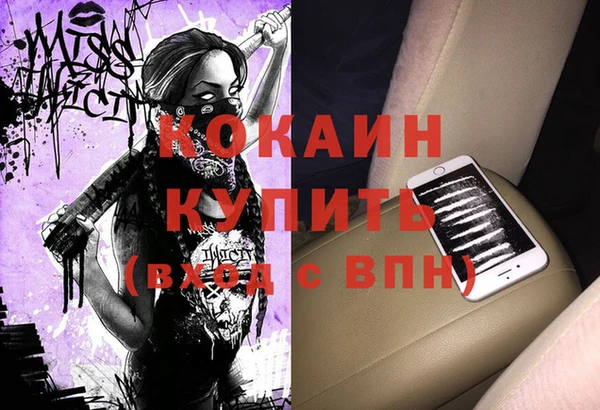 индика Зеленодольск