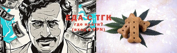 индика Зеленодольск