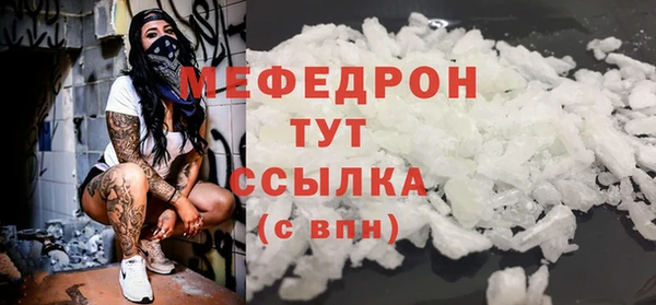 индика Зеленодольск