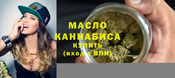 индика Зеленодольск