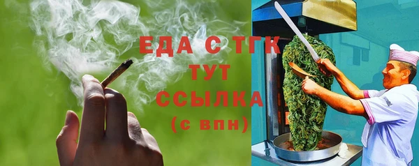 индика Зеленодольск